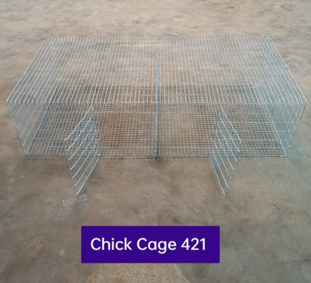 HEN GI Naatukoli koondu, Packaging Type: Cage