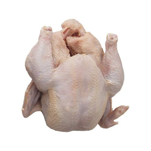 Broiler Chicken, For Restaurant, Packaging Type: Poly Bag