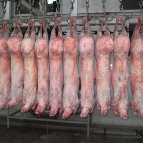 Chilled Lamb Carcasses, For Restaurant, Food Grade: AA