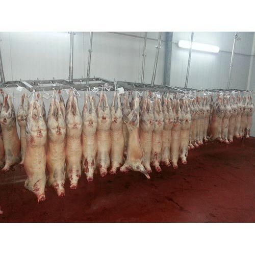 Chilled Lamb Carcasses, for Mess