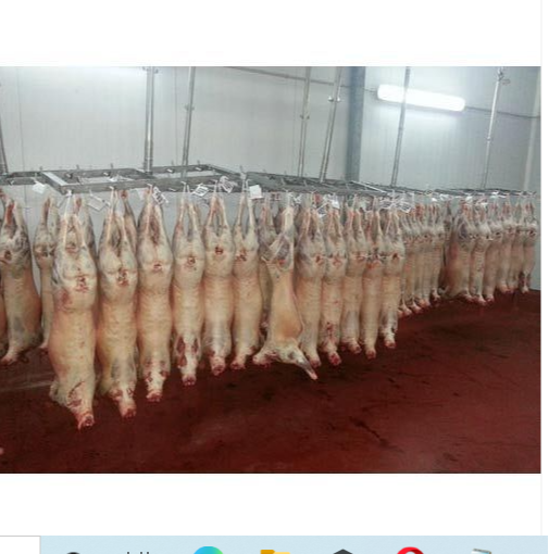 CHILLED LAMB CARCASSES