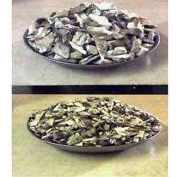Crushed Bone