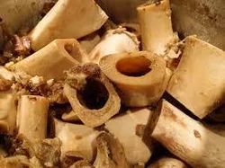 Animal Tallow Bones