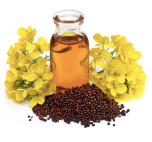 Lowers Cholesterol Cold Pressed Mustard Oil, Packaging Size: 1000 ml