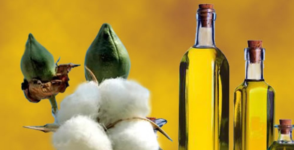 Refined Cottonseed Oil , Packaging: 190-200 kg