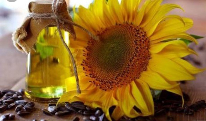 Sunflower Oil