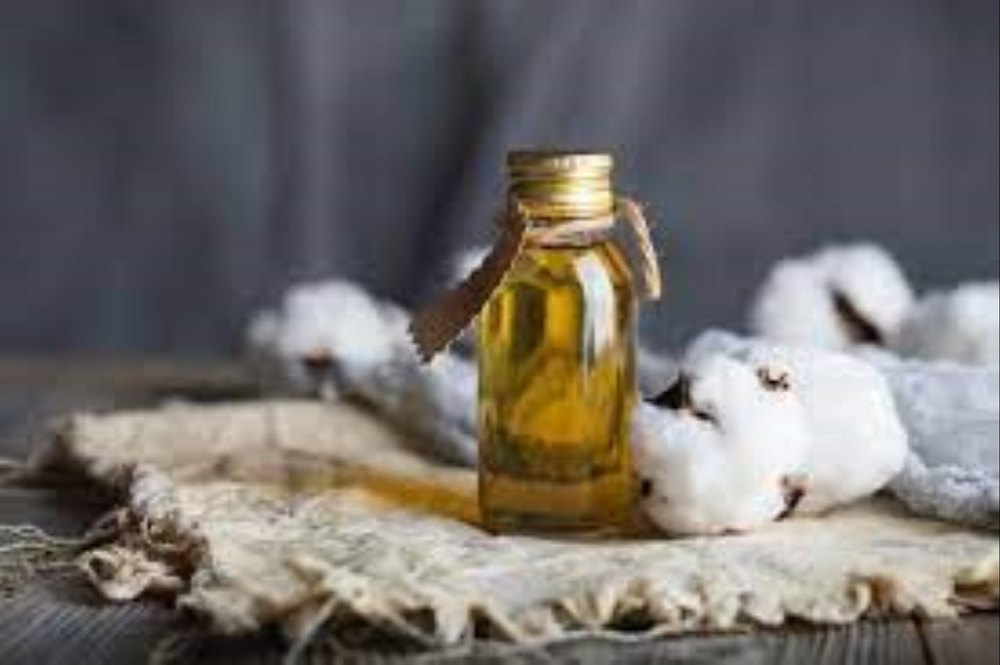 Cotton Seed Oil, 1 L