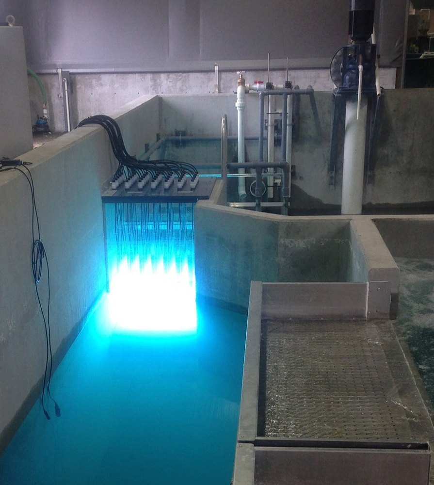 R.S Polymers Glass UV Filter For Medium Ras, Model Type: 315 N, Capacity: 25000 Liters Per Hour