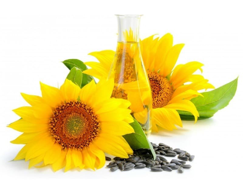 Safflower Oil, Liquid