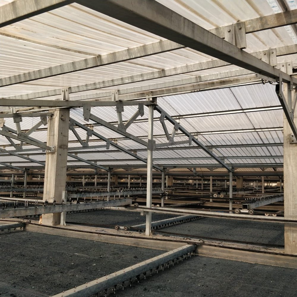 Sludge Dewatering Plant, Automation Grade: Automatic, Capacity: 1 Ton - 15 Ton Per Hour