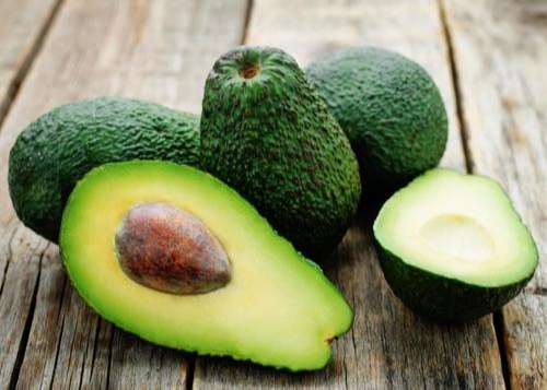 Avocado Liquid Extract Persea Americana