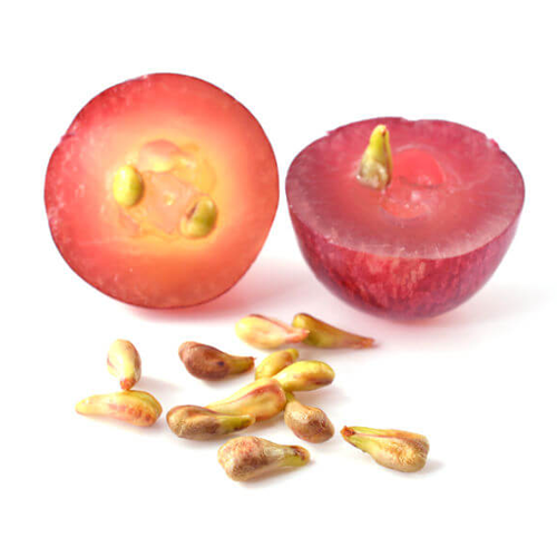 Steam distillation Grape Seed Oil, For Aromatherapy