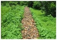 Integrated Watershed Management Program (IWMP)