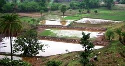 Livelihood Enhancement Under Natural Resource Development