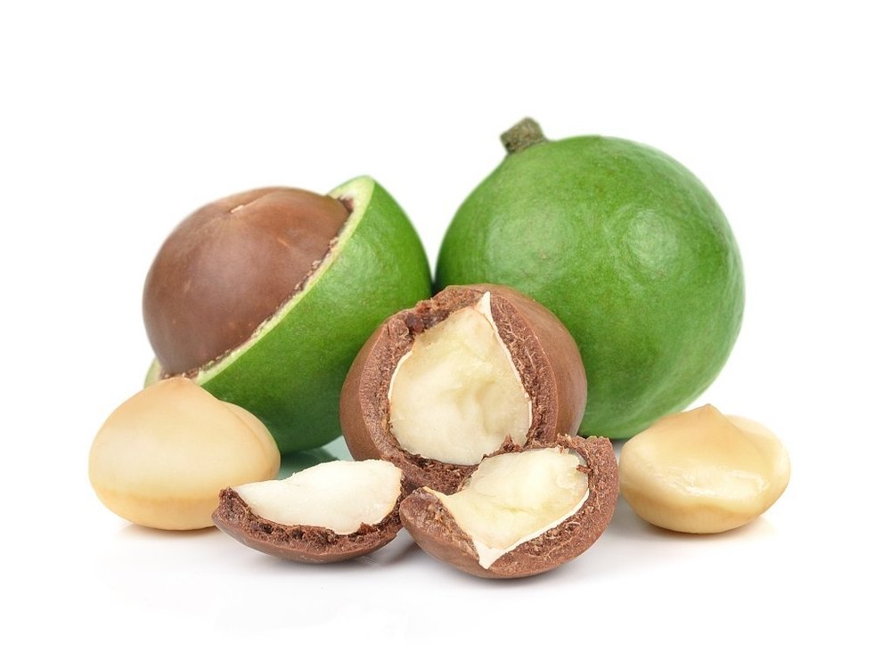 Macadamia Nut Carrier Oil Virgin For Aromatherapy