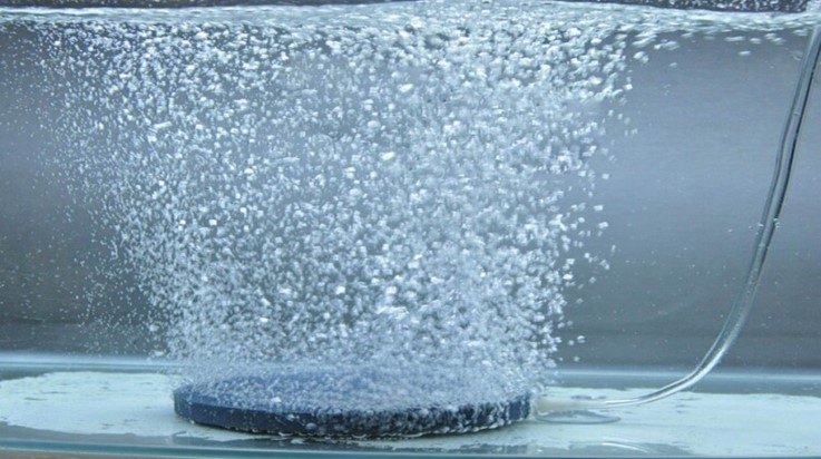 Septic Biocleaner