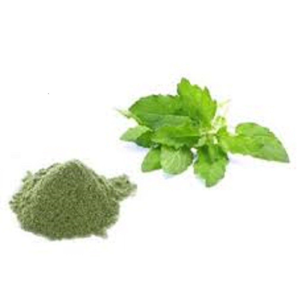 Tulsi Liquid Extract/powder, 25 kg