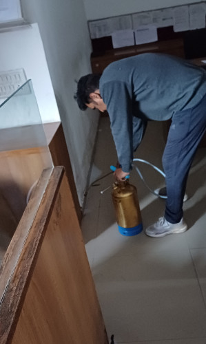 Pest Control Services