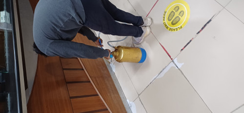 Termite Pest Control Service